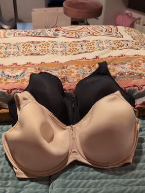 2 Wacoal Basic Beauty T-shirt Bras, 36G